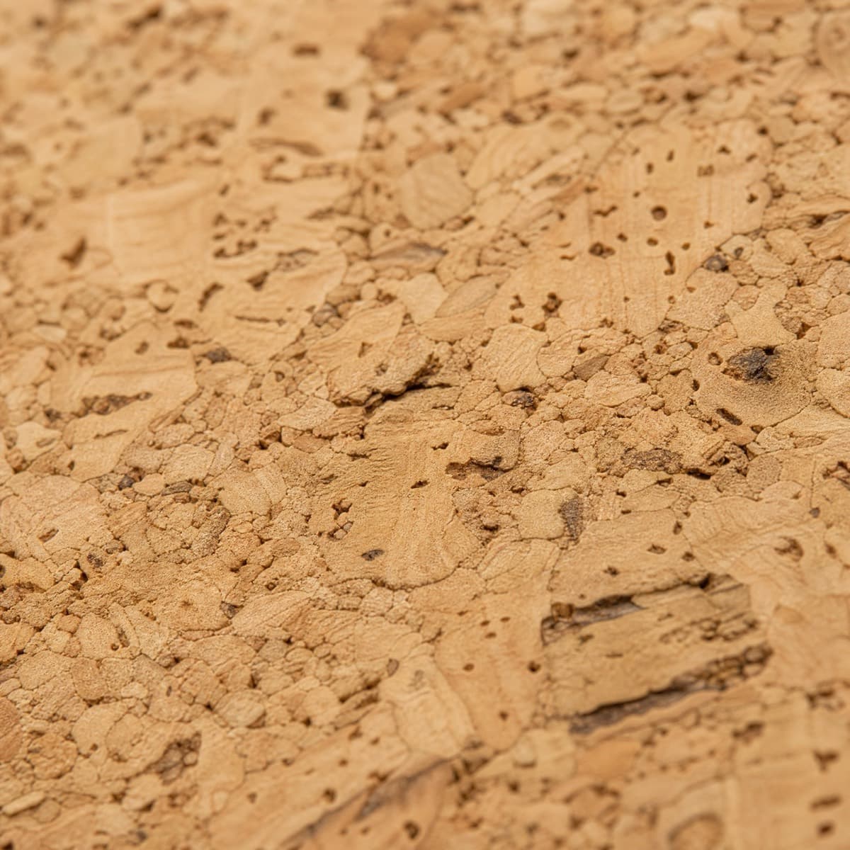 Macro view of cork